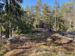 Kjåsberget Kjåsberget