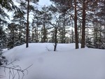 Lauvbergtoppen Lauvbergtoppen