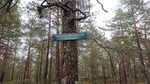 Terrengsykkelkollen Terrengsykkelkollen