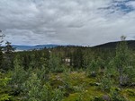 Svartåsen Svartåsen