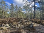 Slorbyåsen Slorbyåsen