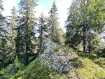 Katnosfjellet Katnosfjellet