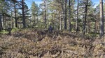 Åslandheia Åslandheia