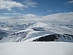 Nautgardsoksle Nautgardsoksle