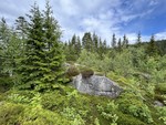 Heitåsen Heitåsen