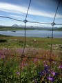 ulstokir