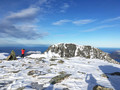 BeritBarlaup