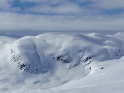 Kvannegrødnuten