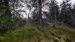 Sørøst for Nystølen