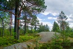 Appelsinhaugen Sørvest
