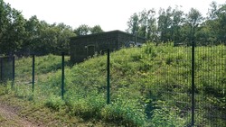 Wenzelstein
