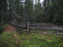 Glæstadhøgda