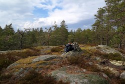 Hærfangen