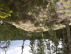 Øysjøhøgda