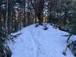Midtstua