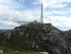 Voreknuden
