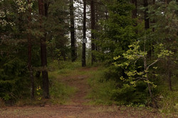 Holmenåsen