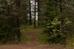 Holmenåsen