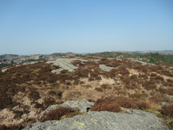 Rundehaugen