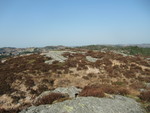 Rundehaugen