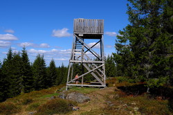 Molstadbrenna