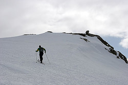 Gråsteinnutan