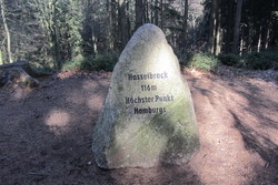 Hasselbrack