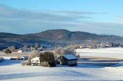 Ulvskollen