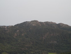 Nonsknuten