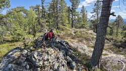 Transtaulhøgdi