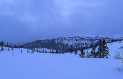 Markeliåsen