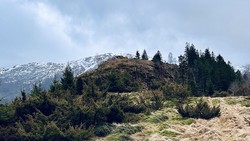 Gaukavarden