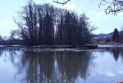 Gåserevet