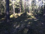 Haugbruåsen