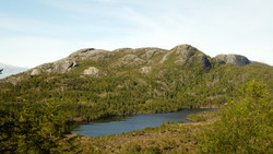 Høgkoren