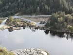 Larslibua