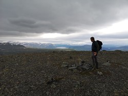 Steinbruhøe