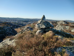 Ørnanipa