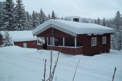 Smedmyrkoia