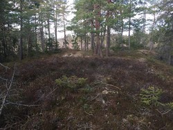 Eikebergåsen