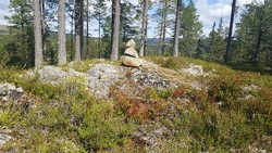 Mesnsaga punkt 553