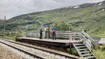 Vieren haldeplass