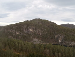 Koll