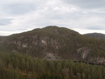 Koll
