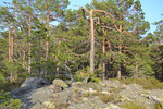 Holdnesfjellet