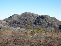 Grimsåsen