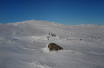 Ijsengealta