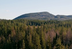 Elsrudkollen