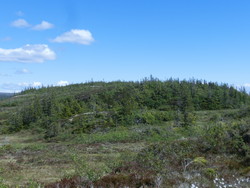 Brannolkollen