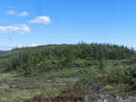 Brannolkollen